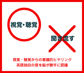 視覚・聴覚からの意識的ヒヤリング英語独自の音を脳が勝手に認識