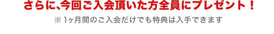 今だけ！期間限定特定マイスキで英語力アップをより効果的にする為に